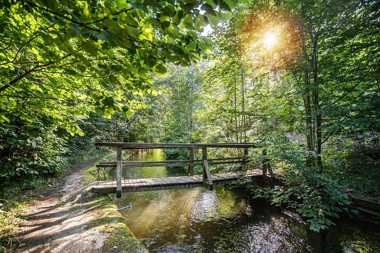 Weisshuhnův kanál - channel of Weisshuhn