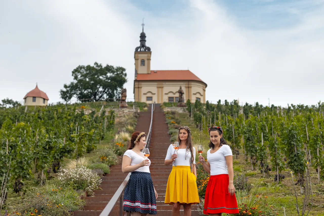 Vinařská turistika - Wine tourism