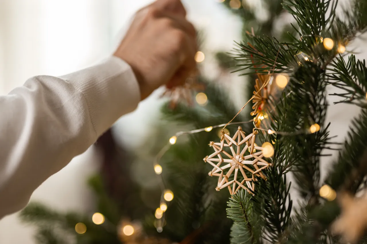 ct_vanoce-highres@oldrichhrb-25