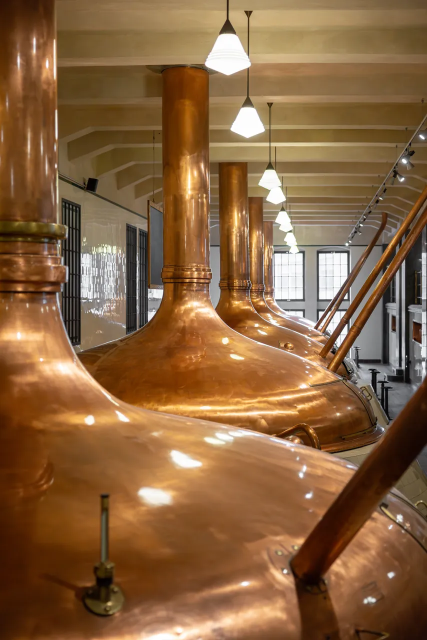 gasto_II-highres@oldrichhrb-26