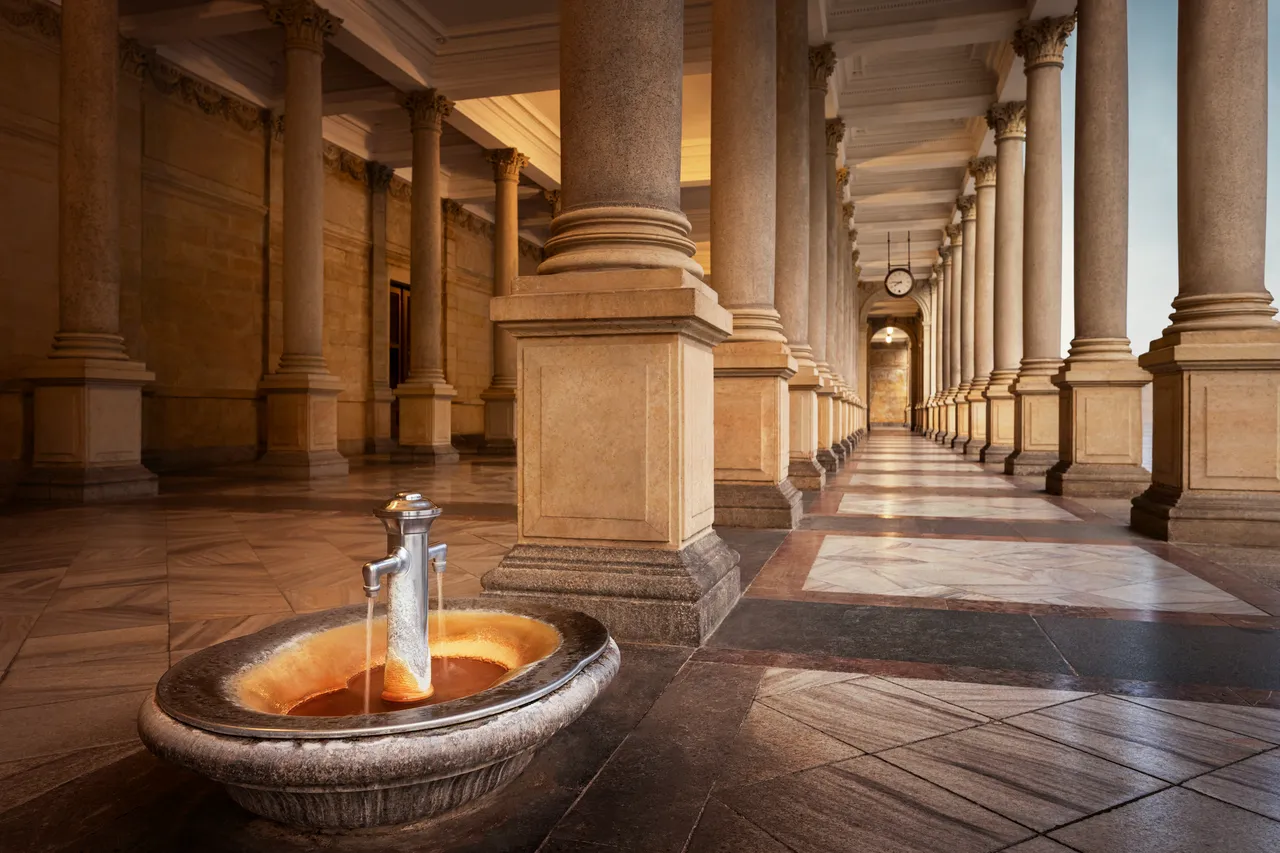 Feel Free 2026 Traditional Spa - Karlovy Vary