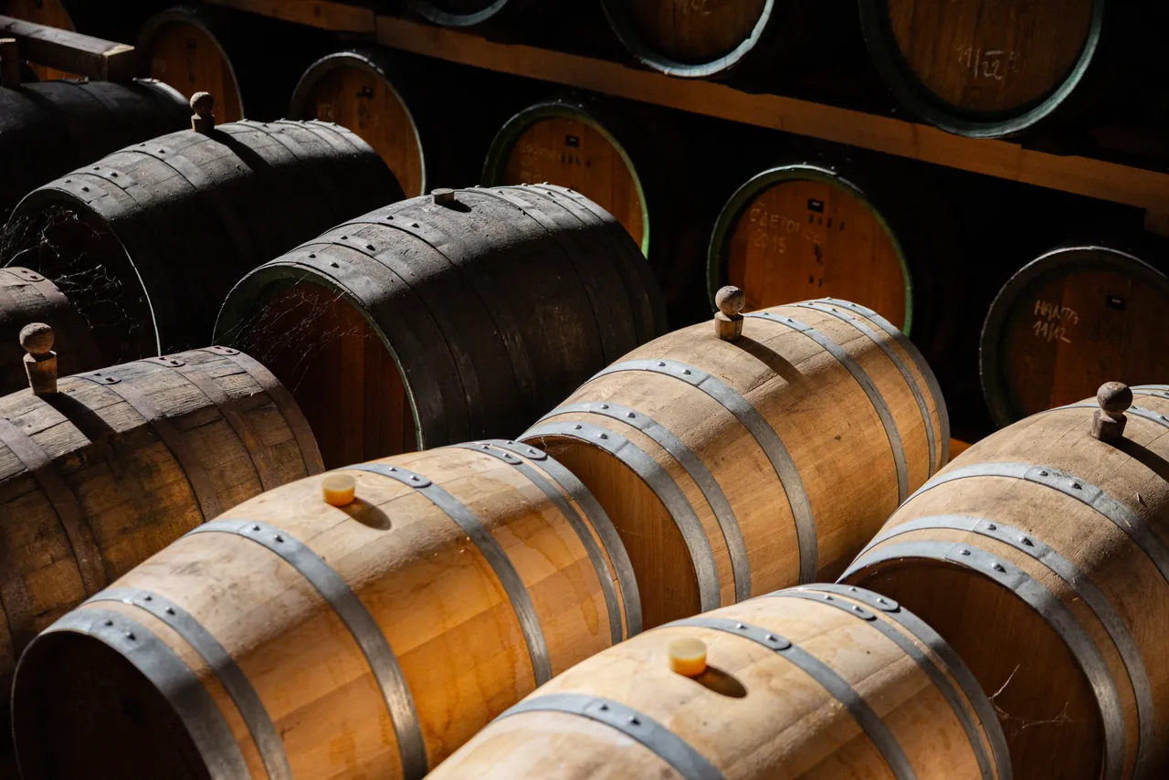 gasto_II-highres@oldrichhrb-5