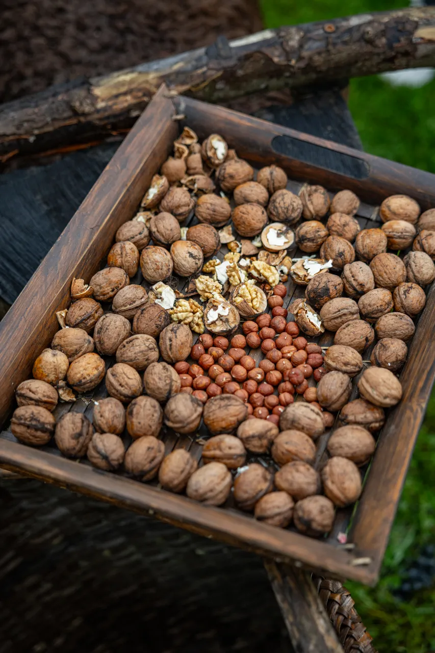 gasto_II-highres@oldrichhrb-87