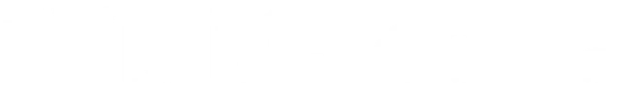 VisitCzechia_logo_WHITE