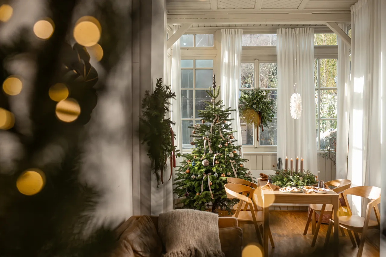 Domácnost o Vánocích