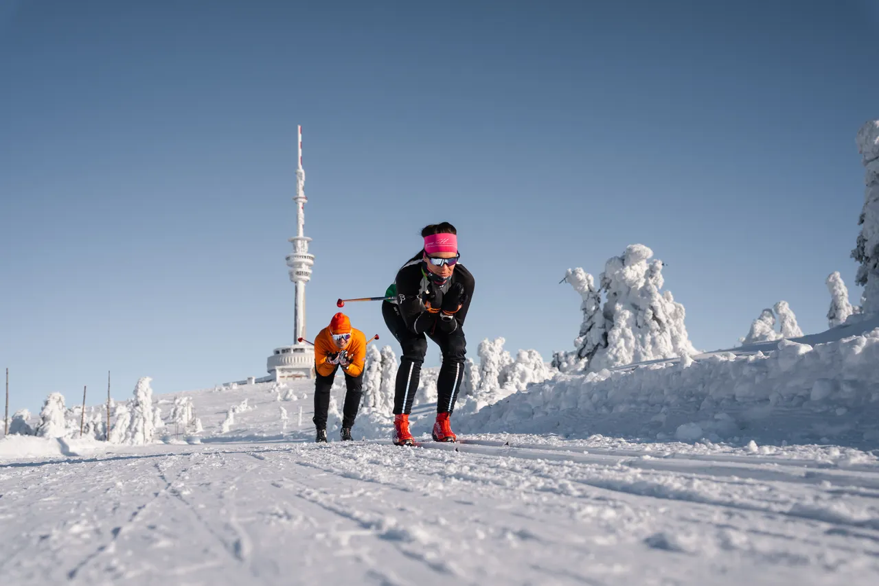 Běžkaři na Pradědu