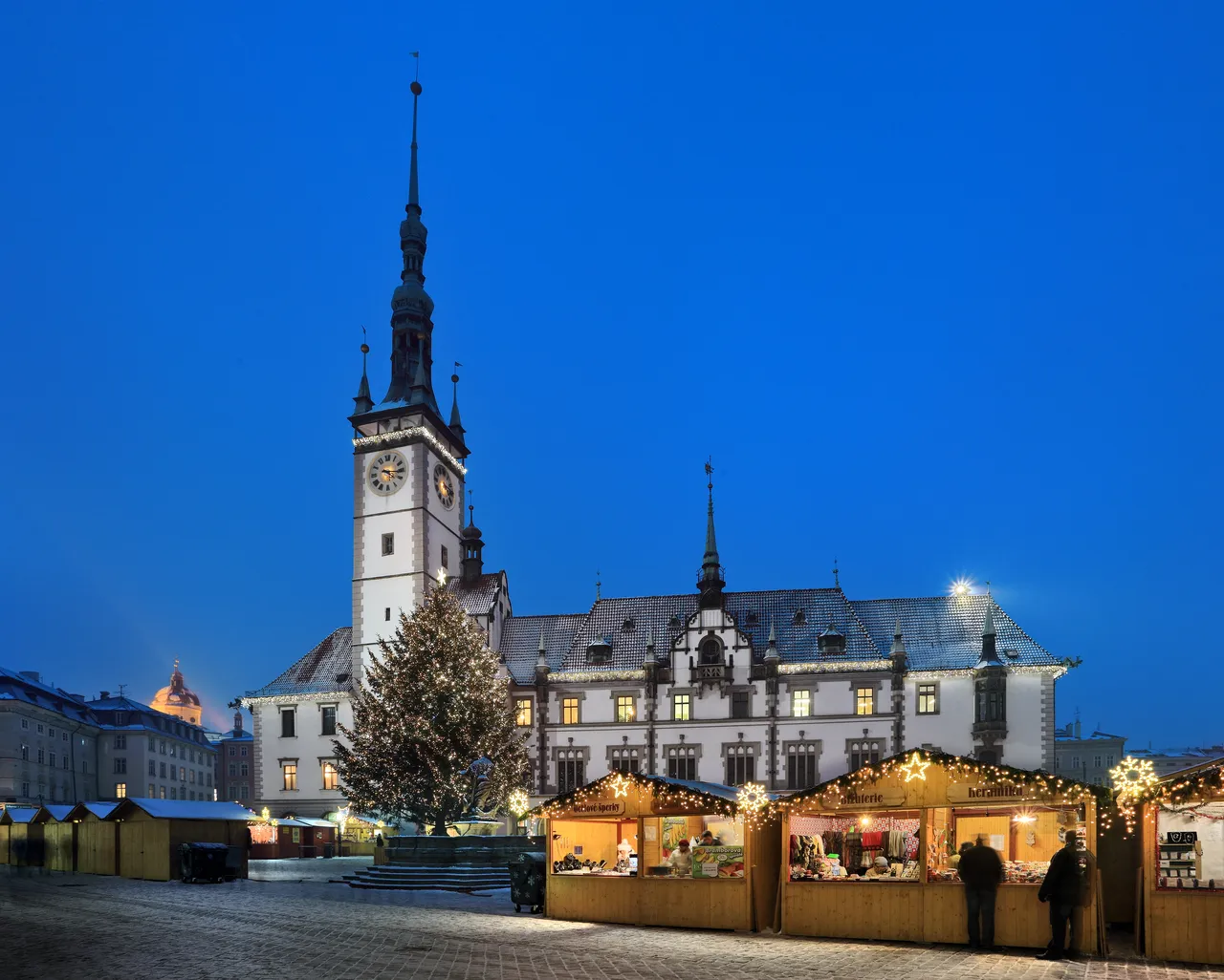 olm164_2012_12_10_9725_c