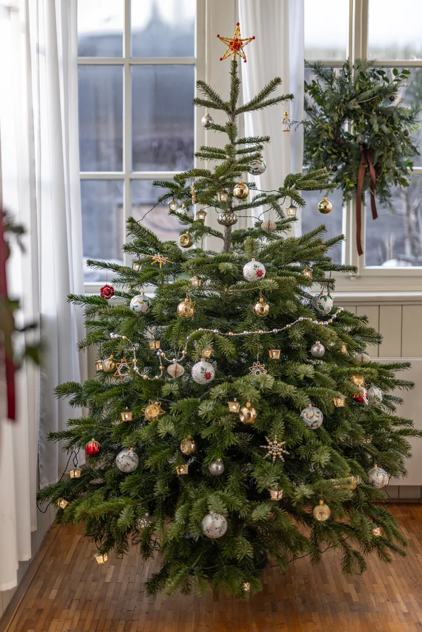 Vánoční stromeček