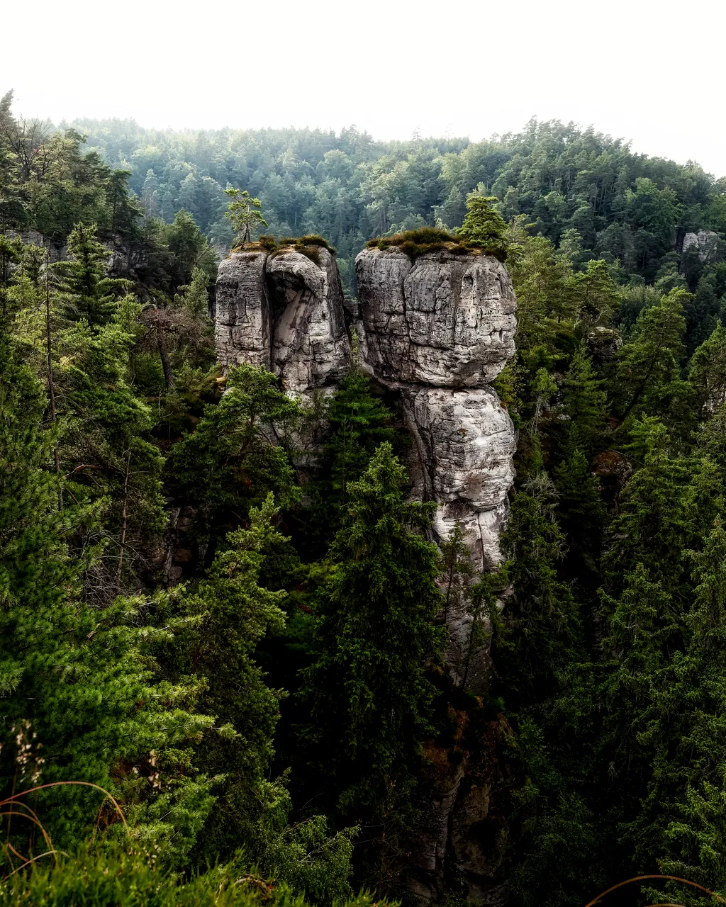 Liberec region