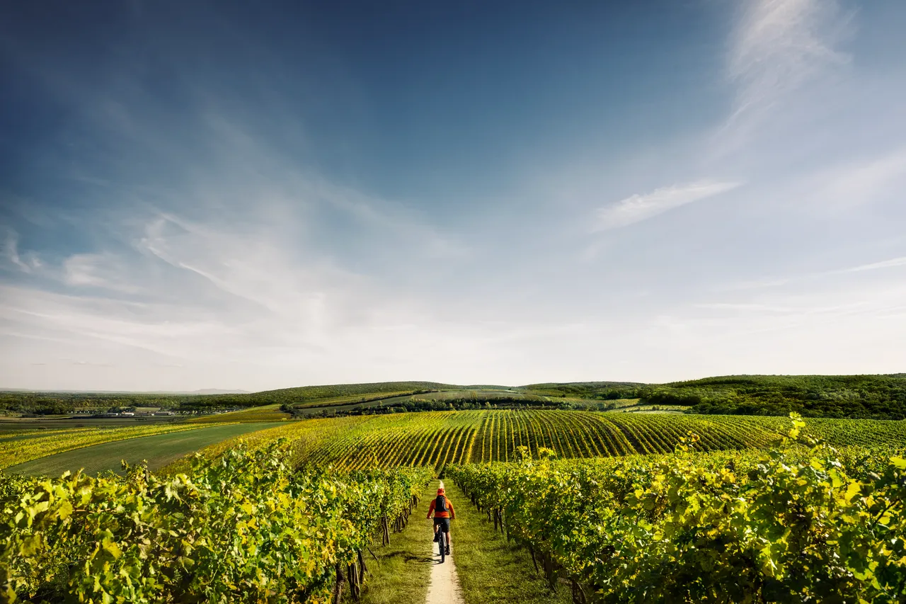 Feel Free 2026 Cycling - Southern Moravia