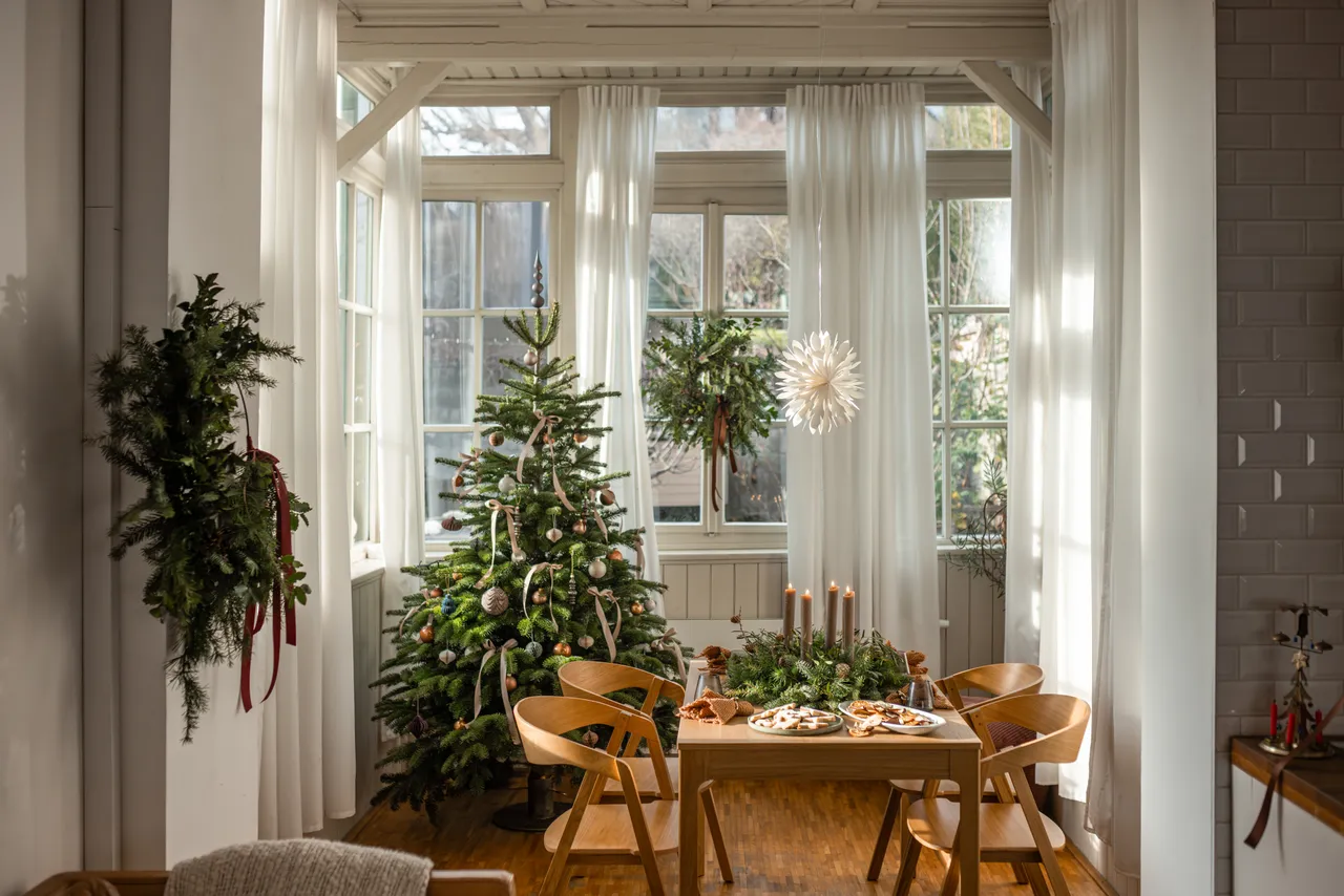 Domácnost o Vánocích