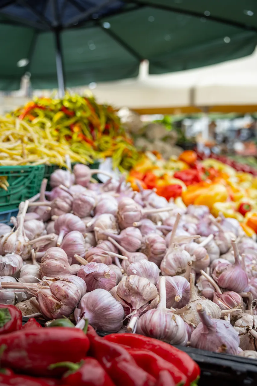 gasto_II-highres@oldrichhrb-12