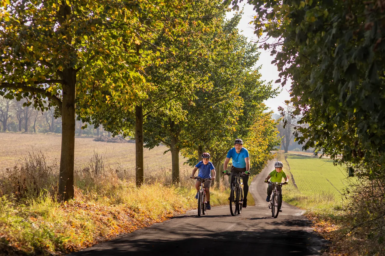 Rodinná cyklistika Vlašimské aleje