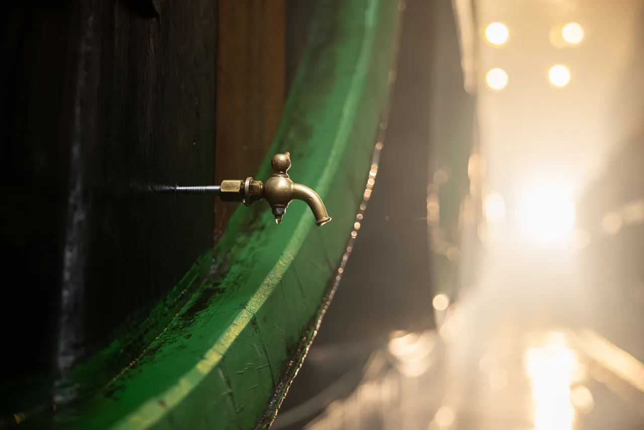 gasto_II-highres@oldrichhrb-30