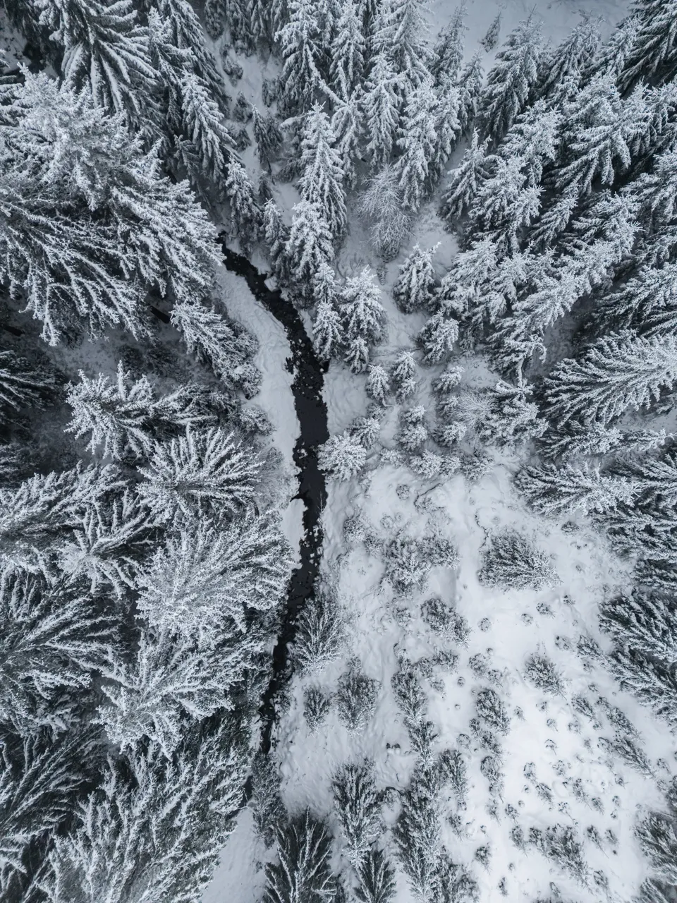 mareksaroch.cz-51019