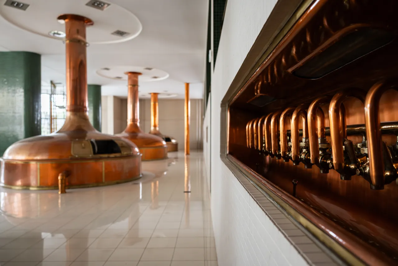 gasto_II-highres@oldrichhrb-24