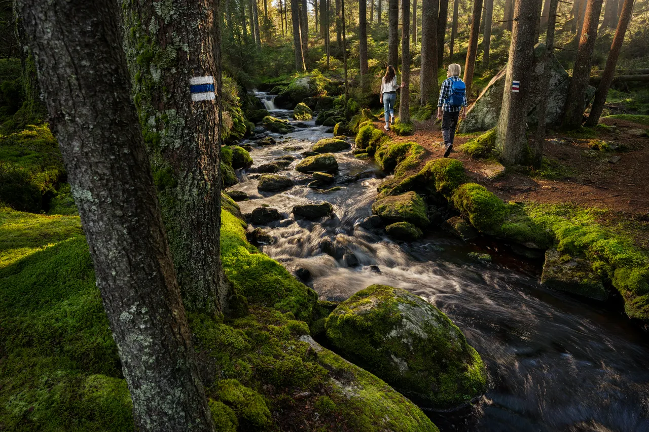 Album cover Campaigns