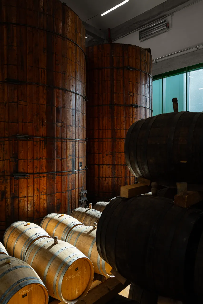 gasto_II-highres@oldrichhrb-3