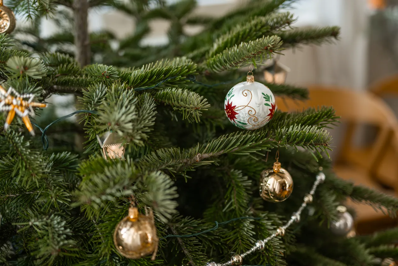 ct_vanoce-highres@oldrichhrb-30