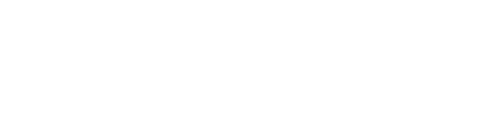 TTD_Czechia_RGB_WHITE
