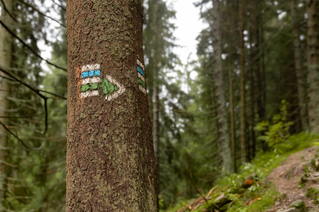 Turistické značení