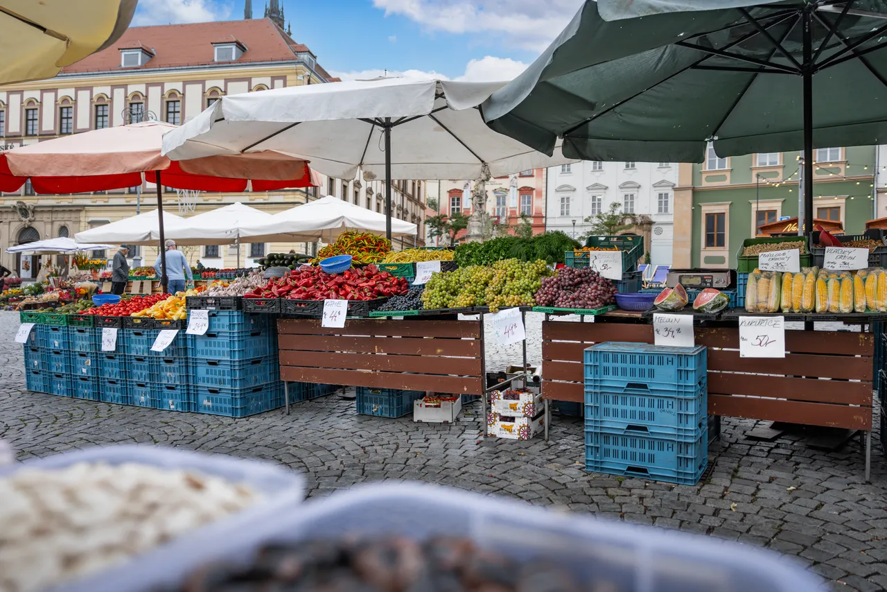 gasto_II-highres@oldrichhrb-13