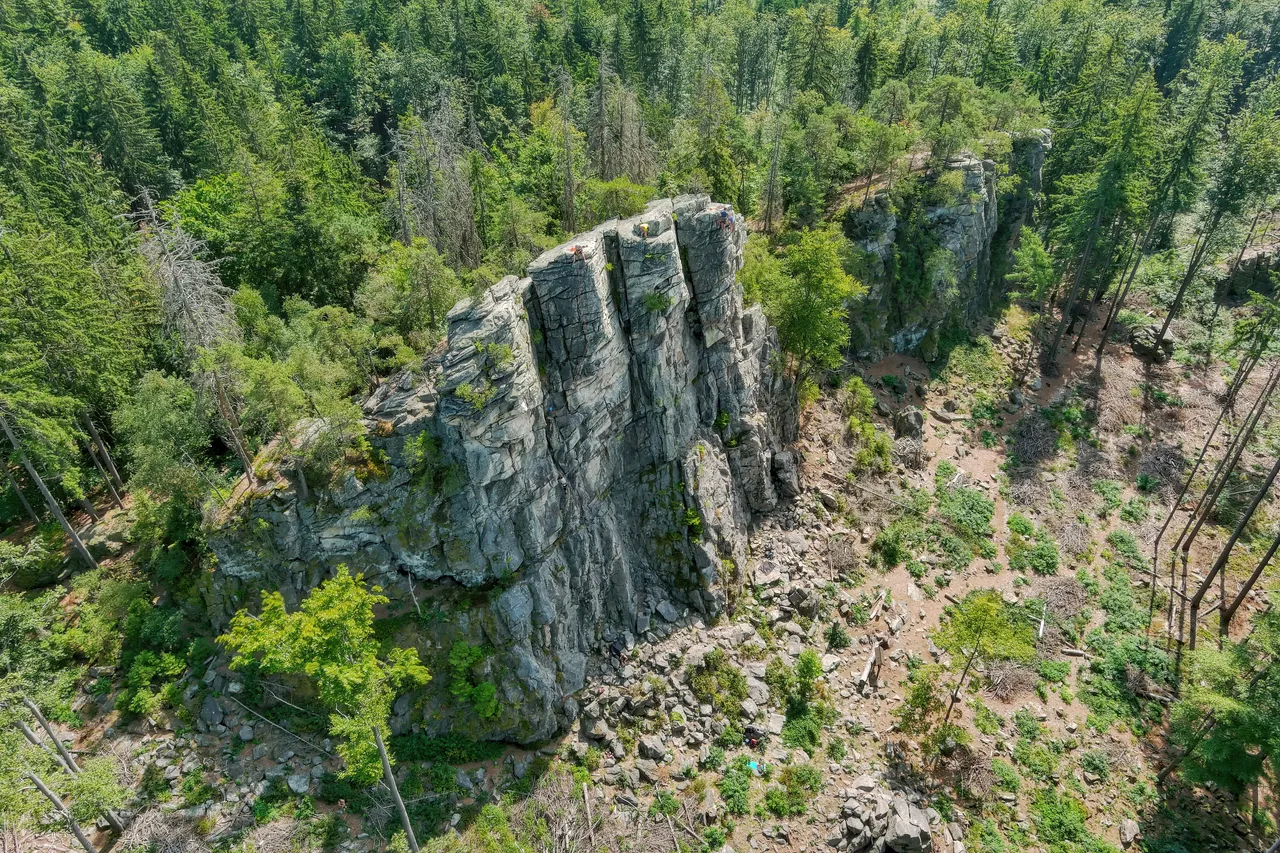 Čtyři palice