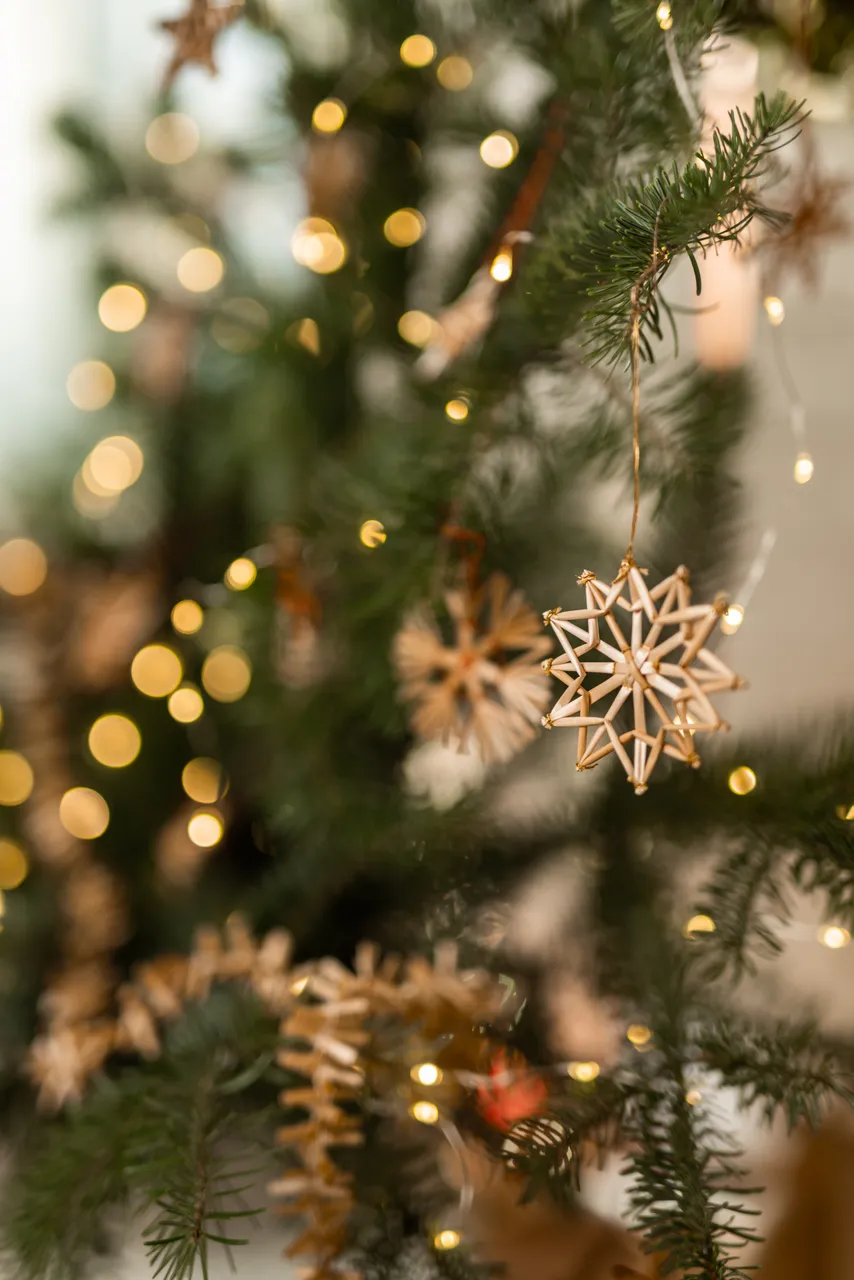 ct_vanoce-highres@oldrichhrb-26