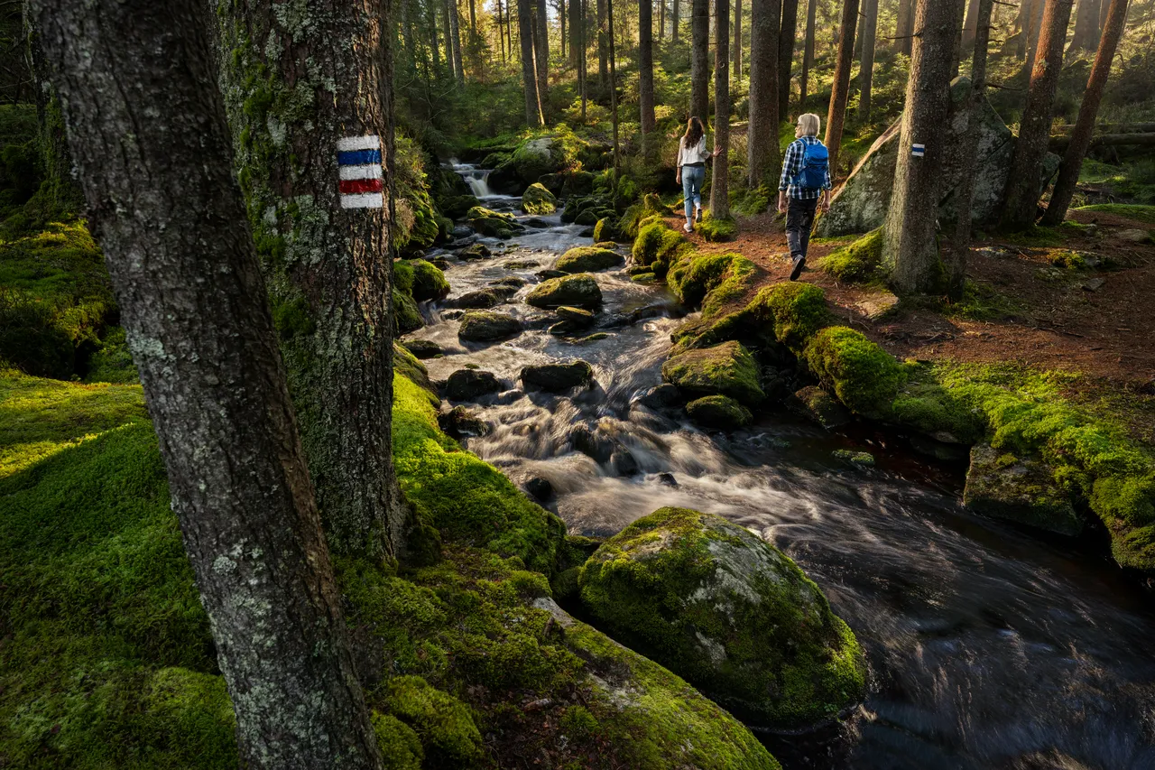 Feel Free Hiking - Modrava