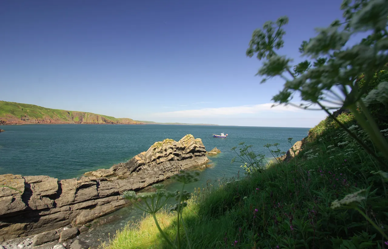 Stackpole Quay