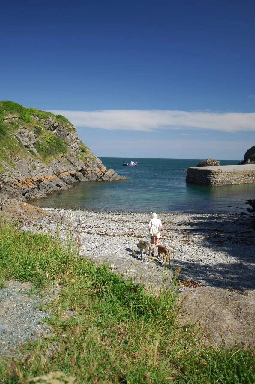 Dog Walker Stackpole Quay