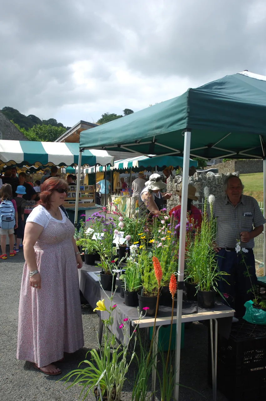 St Dogmaels Local Producers Market