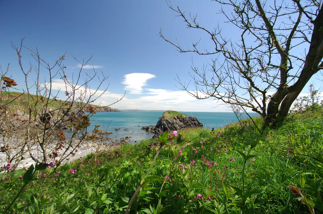 Stackpole Quay