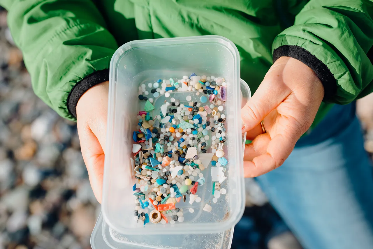Beach Clean