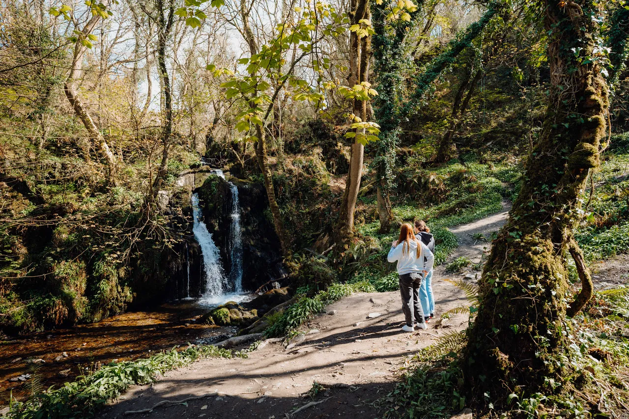 Aberfforest Waterfall