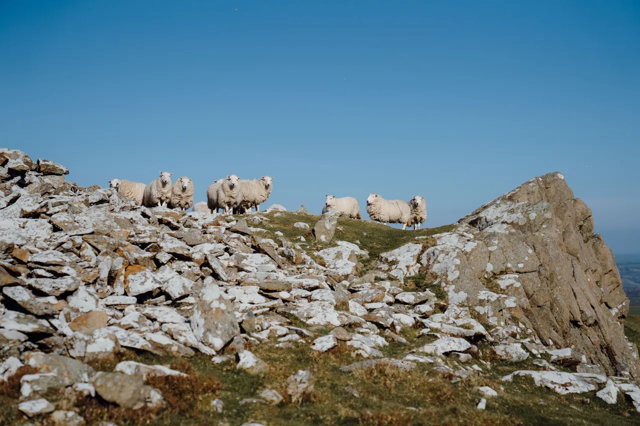 Foel Drygarn