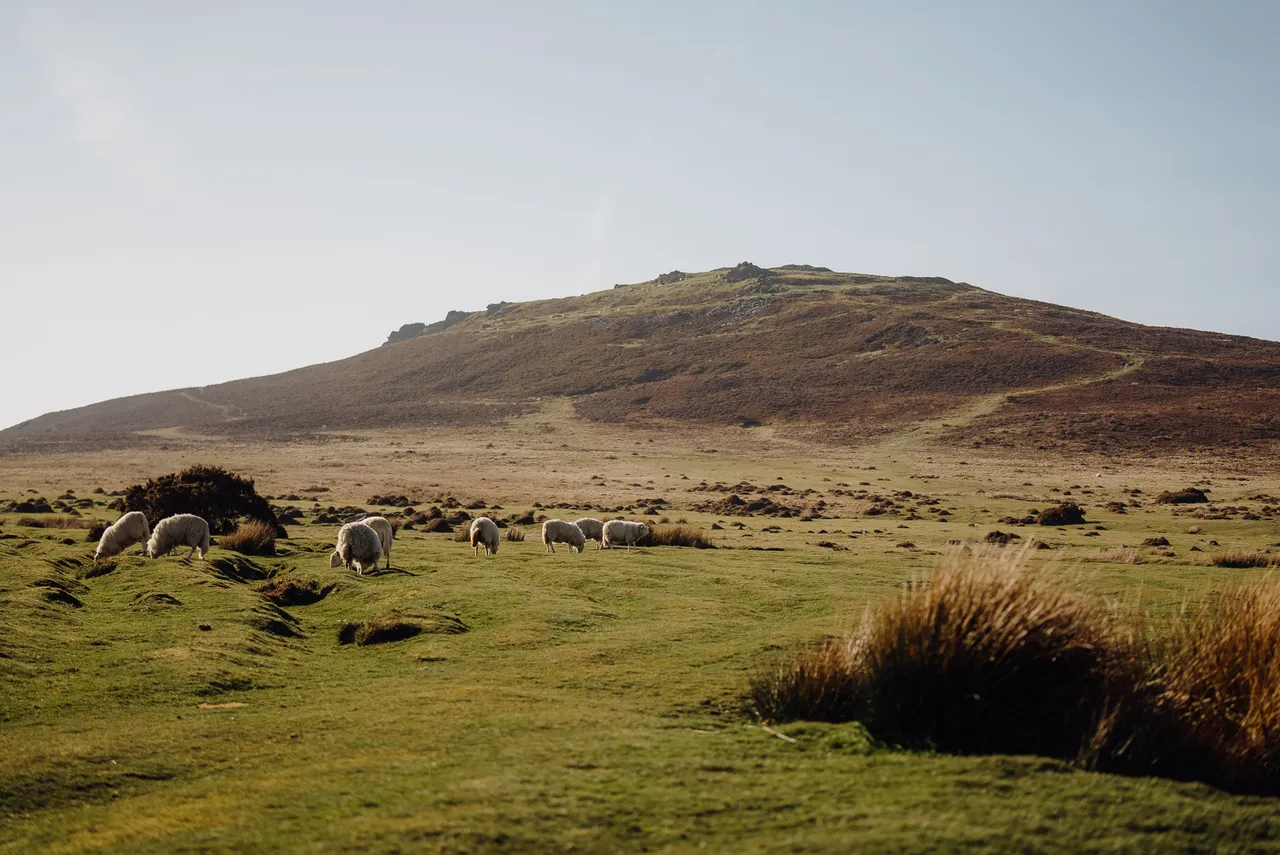 Foel Drygarn
