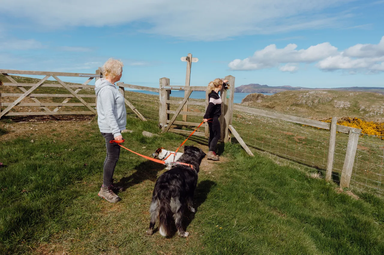 Walking the Coastal Path