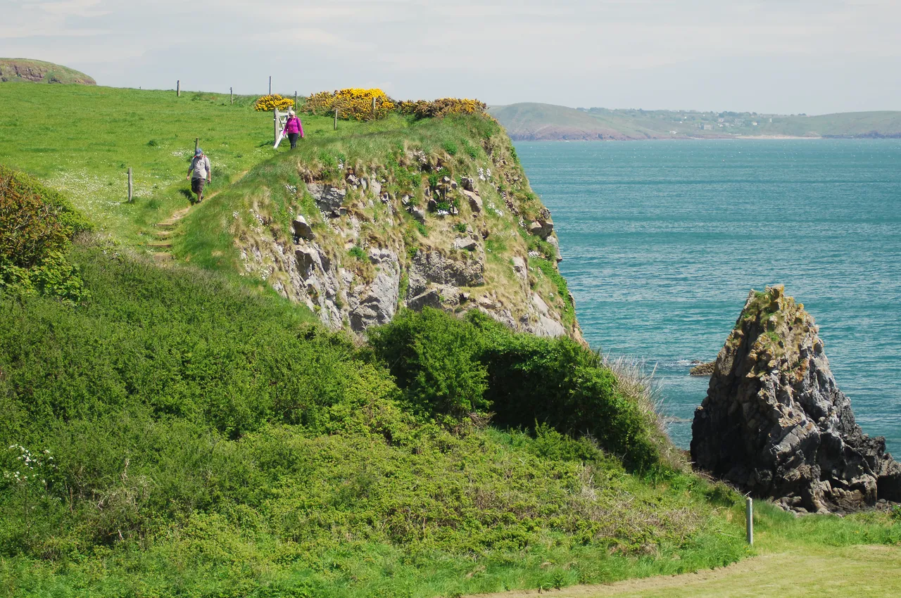 Stackpole Coastal Path