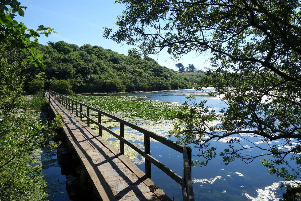 Bosherston Lakes