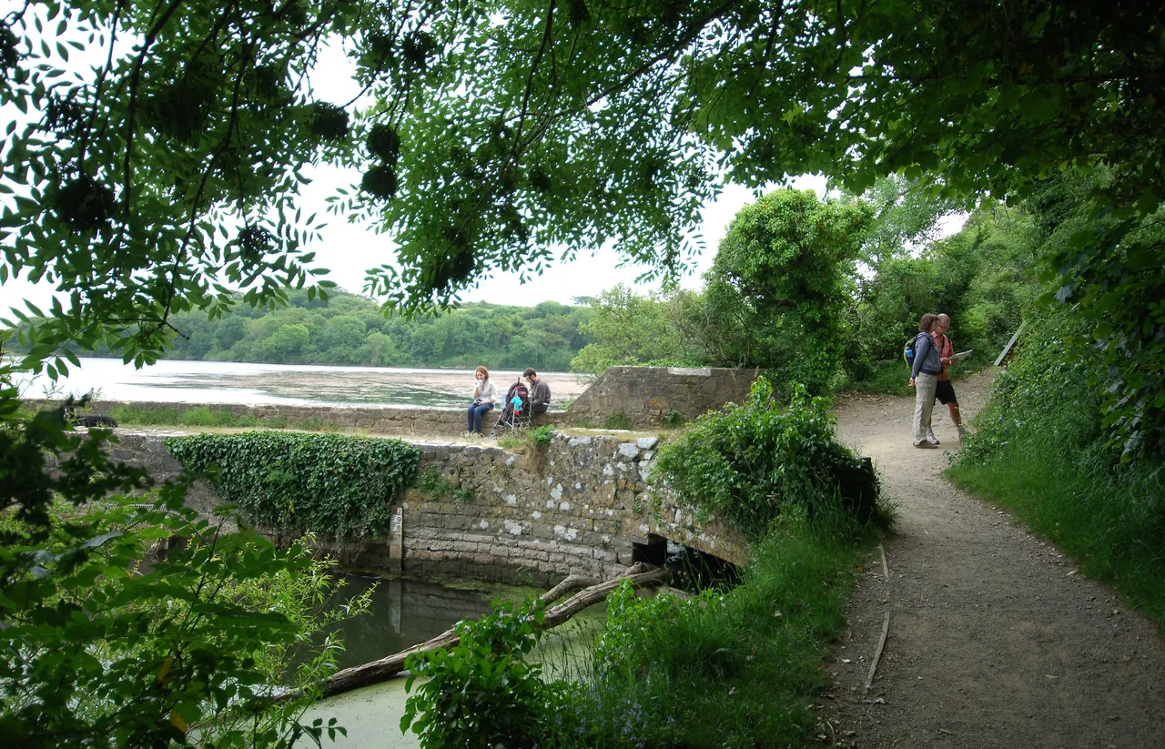 Bosherston Lakes