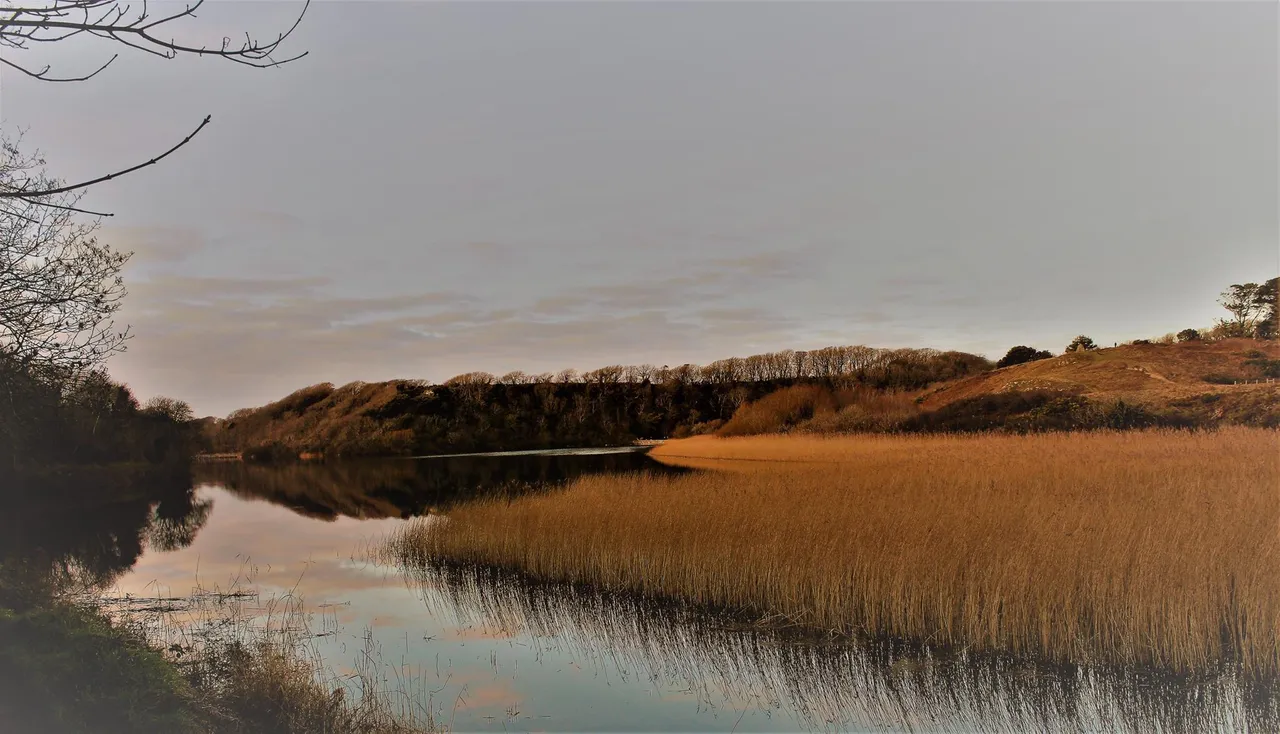 Bosherston Lakes at Winter