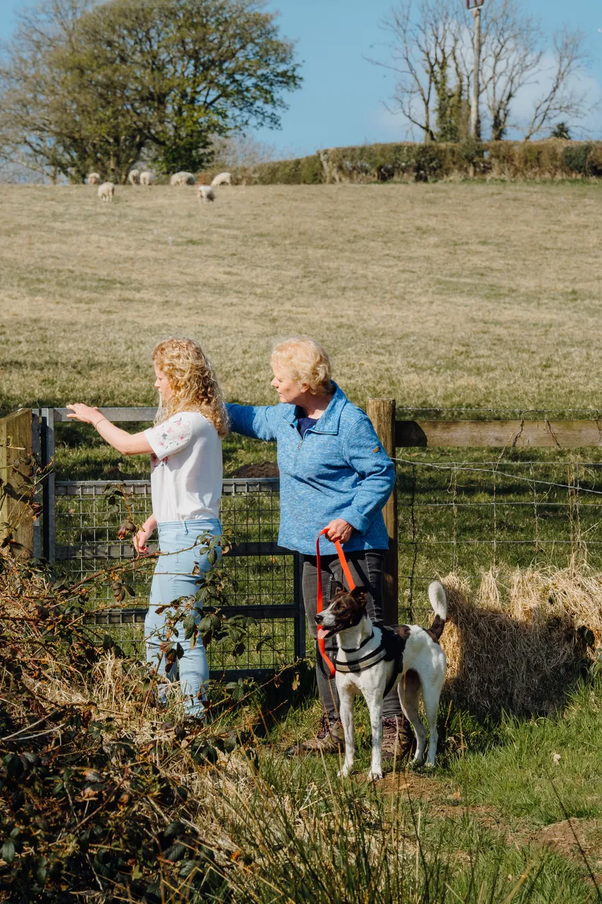 Countryside Walk