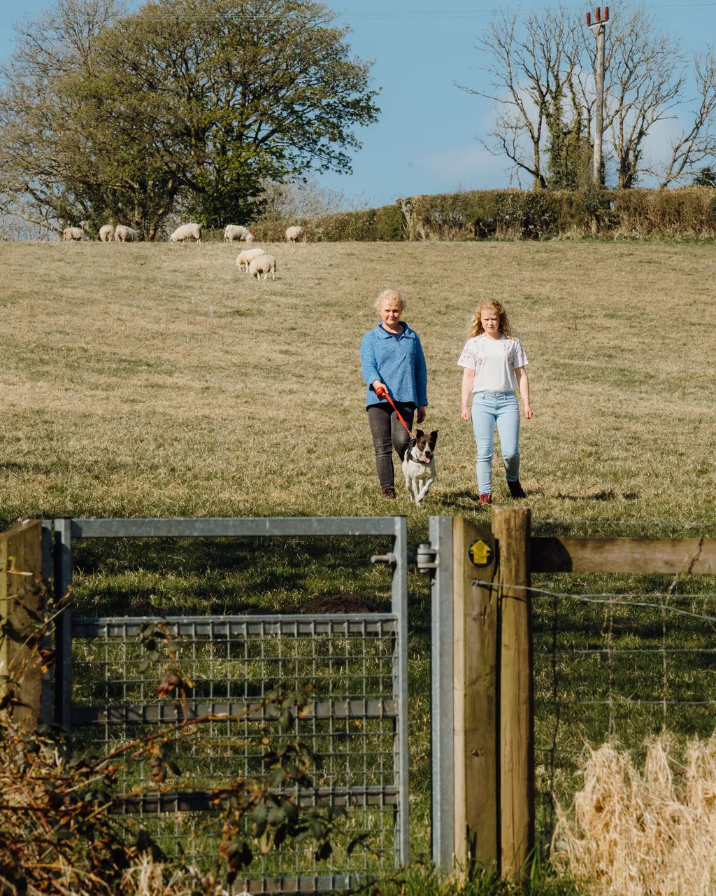 Countryside Walk