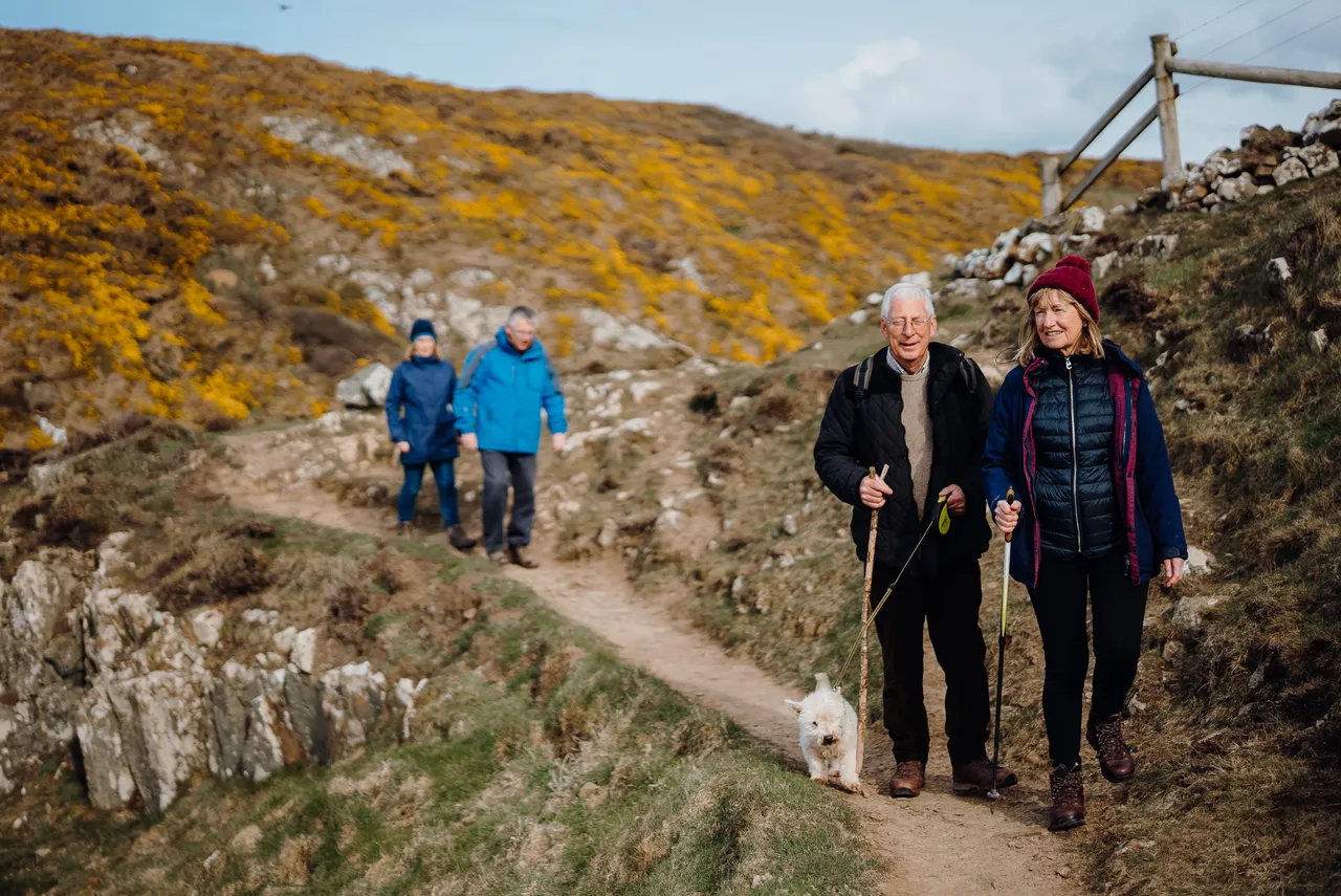 Dog Walkers