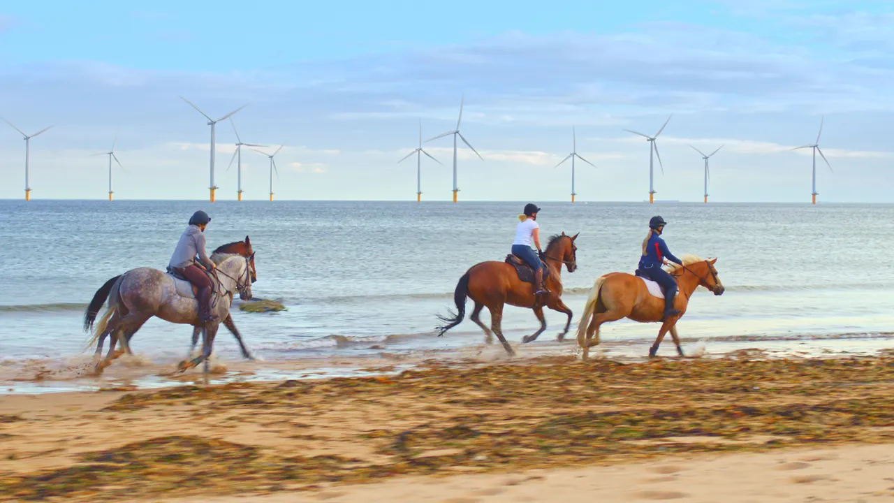 Project_Yorkshire_14